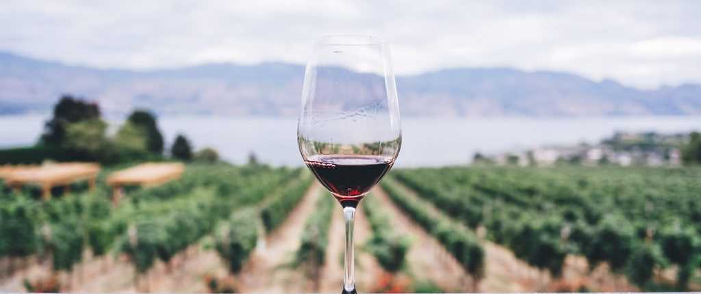Het Kroatische Dalmatië is de uitgelezen plek voor een wijnreis in combinatie met zeilen